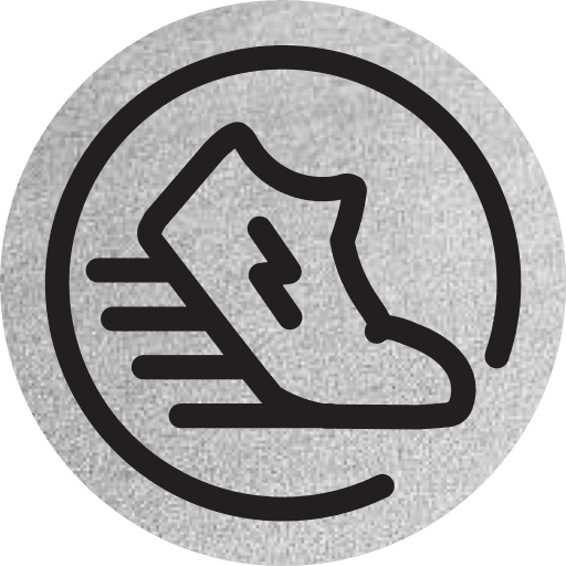 Green Satoshi Token (SOL) icon