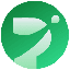 Palapa icon