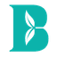 Blocery icon